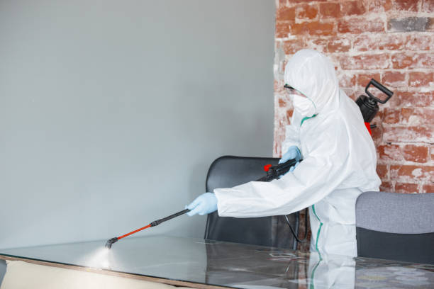 Forensic Mold Investigation in Myersville, MD