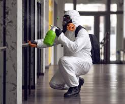 Professional Mold Removal & Remediation in Myersville, MD